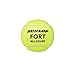 4er-dose Dunlop Fort All Court Ts 601607