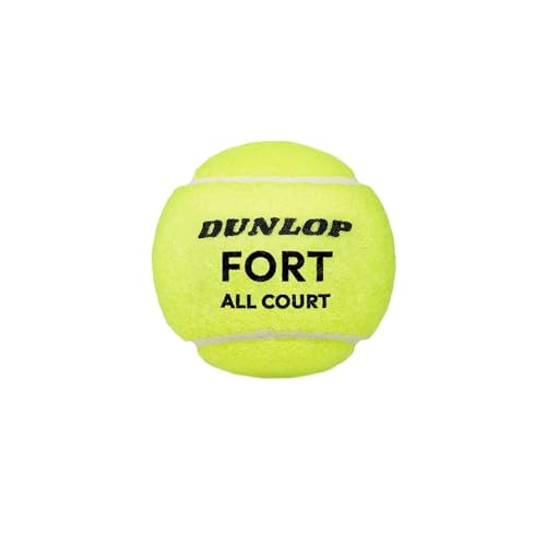 4er-dose Dunlop Fort All Court Ts 601607
