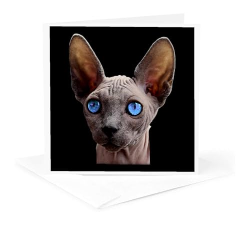 Cartes de vœux chat Sphynx 3dRose lot de 12 format carré - 5