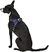 Copatchy No Pull Reflective Adjustable Dog Harness With Handle- Comfortable Soft All Weather Mesh, Easy On Puppy Harness For Small Medium and Large Dogs (Blue) Small