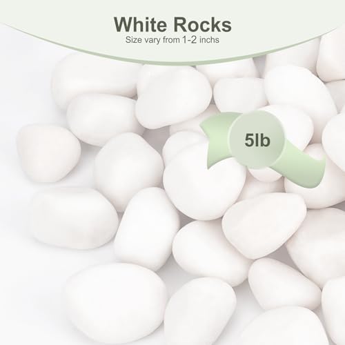 Image of Pulovin 5 lbs White Rocks for Plants Indoor, 1-2 inch Decorative Garden Stone Outdoor Landscaping, Walkways, Yard, Large Polished River Rocks for Plants Pots, Vases, Crafts