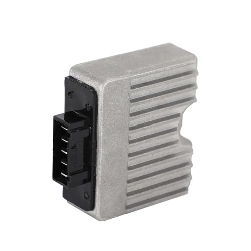 ���i ������d�����M�����[�^�[ Scar Der Piag 50 100 FLY ZIP 4T 99-15�ɓK��