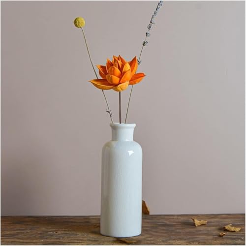 Vase céramique blanche style vintage pour plantes vertes salon