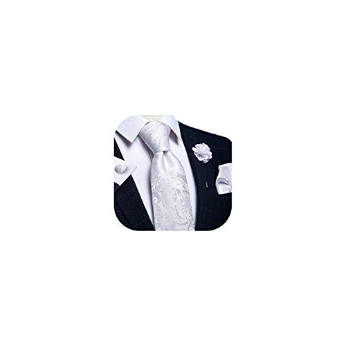 Image of DiBanGu Silk Ties for Men Necktie and Lapel Pin Brooch Set Formal Woven Paisley Plaid Striped Solid Tie Wedding Party