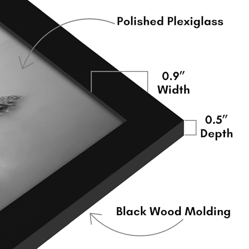 Image of Americanflat 14x18 Poster Frame - Black Engineered Wood with Polished Plexiglass - Wide Picture Frame for Vertical or Horizontal Wall Display - Epic Collection - Black