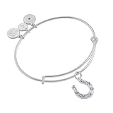 Alex and Ani Horseshoe Charm Bangle