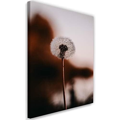 Image déco fleur pissenlit marron 70x100 cm pour habiller un grand mur vide