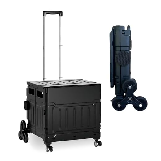 Sem Bagunça 8 Rodas (48 litros) 50Kg