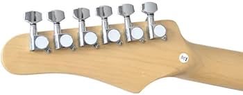 Amazon | PLAYTECH (プレイテック) エレキギター ストラトキャスター