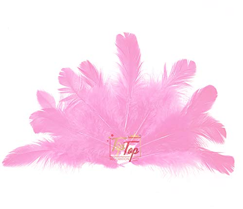 Image of Natural Dyed Feathers 10 cm (80 pieces) (Light Pink)