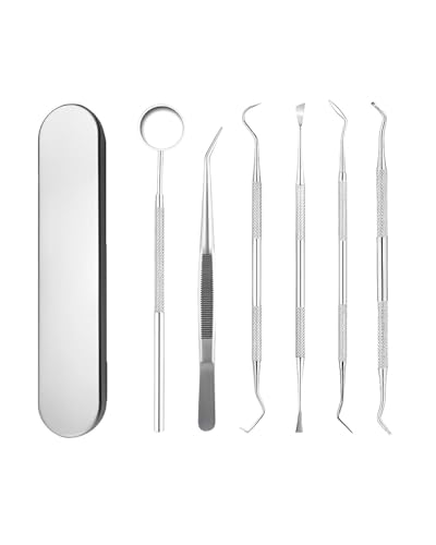 TPZORJX 6PCS Kit de Dentista Para Eliminar el Sarro,limpieza dental, Dental Cuidado Kit con estuche, Diente Relleno Reparación Juego Acero Inoxidable Para Hombres, Mujeres, Niños y Mascota