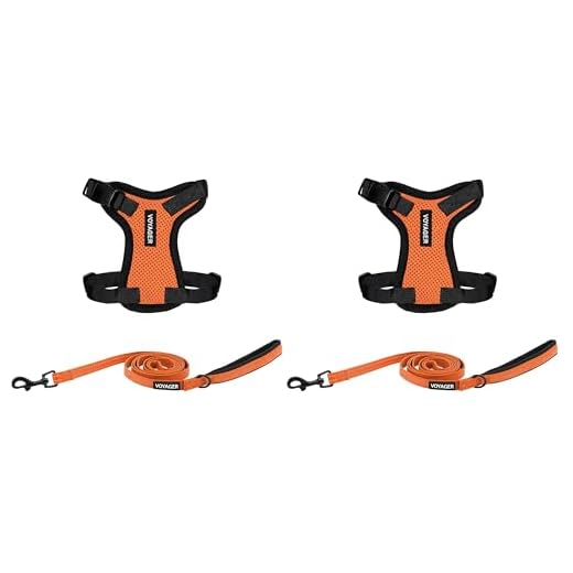 Voyager Adjustable Cat Harness and Leash Set