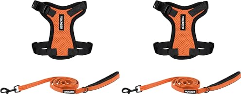 Image of Voyager Step-in Lock Adjustable Cat Harness w. Cat Leash Combo Set with Neoprene Handle 5ft - Supports Small, Medium and Large Breed Cats by Best Pet Supplies - Orange /Black Trim, XXS (Pack of 2)