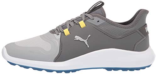 Foto von Puma Herren Ignite Fasten8 Disc Golfschuh, High Rise Silver Silent Shade, 40 EU