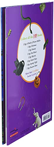 I Spy Spooky Night: A Book of Picture Riddles