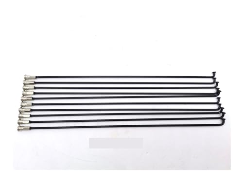 Rayons électriques en acier inoxydable 12G 2.5 mm de longueur 117-256 mm avec écrous