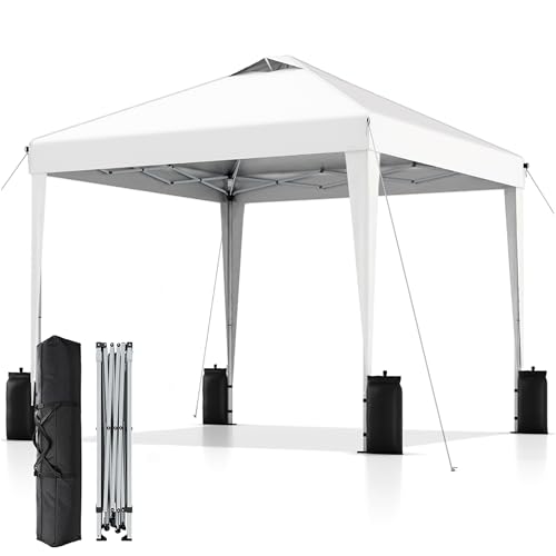 SANWAY 10x10 Pop Up Canopy Tent with Vents