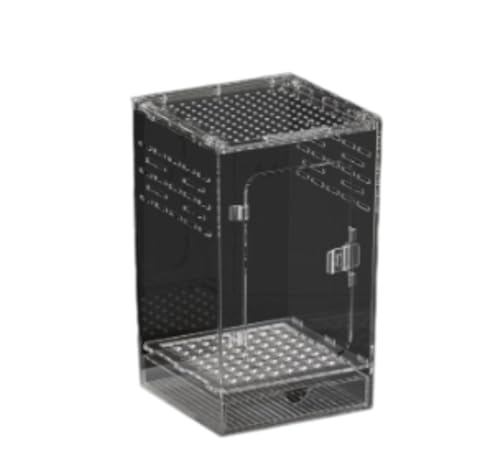 Giawkca ঒��ރe�����E���A�@�q�� �����A�N�����P�[�W�A��^�����e�����E���A�e�����E���B (15*15*25cm)