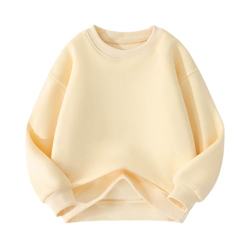 Fleece Lined Sweatshirts For Kids Long Sleeve Crewneck No Hood Pullover Top Winter Thermal Warm Sweatshirt