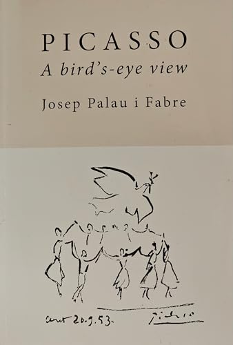 Picasso a Bird S-Eye View