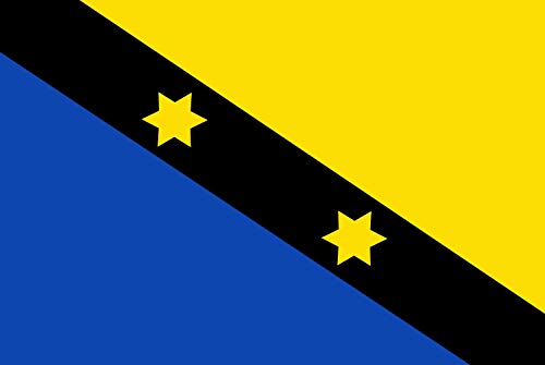 Drapeau Baarderadeel grand format pavillon ancienne commune