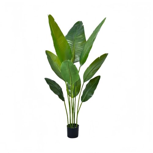 Klivex lHϗtA Xe tFCNO[ G} CeA  b炸 lC  sv ͂Ȃ lH tFCNA A (gx[Yp[ 120cm)