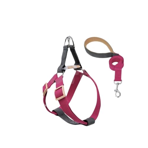  n[lX [h Zbg ^ ^ ^    Jt n[lX[h _uO v 2_Zbg ybg COTEN (A^Cv, S)