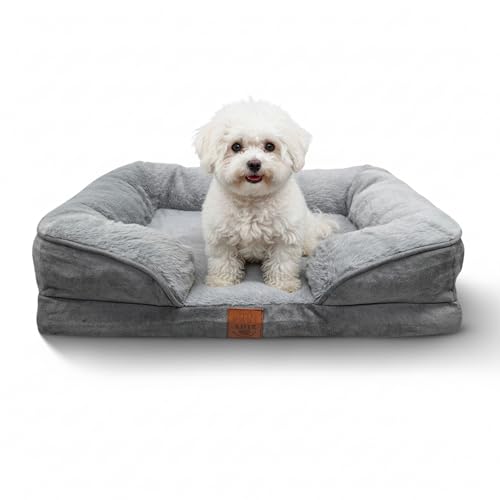 Orthopedic Memory Foam Dog Bed, Small Size (61x46x15 cm), Removable Washable Cover, Waterproof Liner, Non-Slip Base, Soft Pet Sofa Bed for Dogs & Cats, Grey