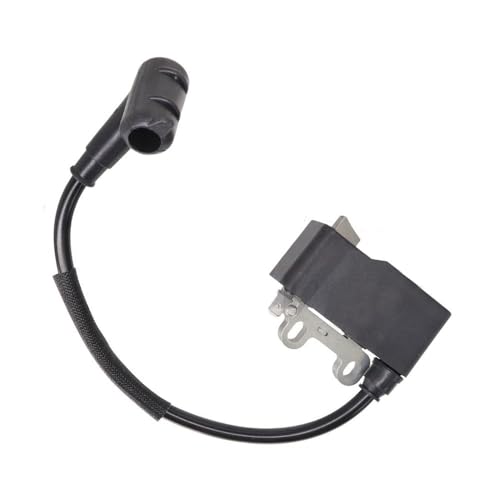 Module de bobine d'allumage A411001810 pour taille-haie HC-2020