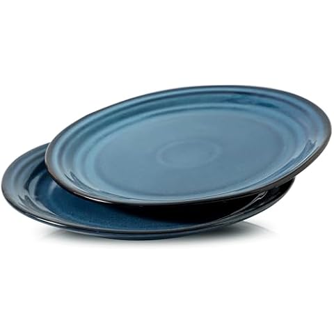 Glowworm 10-Inch Blue Ceramic Dinner Plates Cover