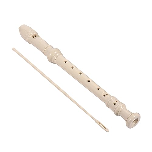 CORHAD \vmR[_[ qpR[_[ y 8 Abs zCg SҌ pZbg c̉BɓKLbYNlbg