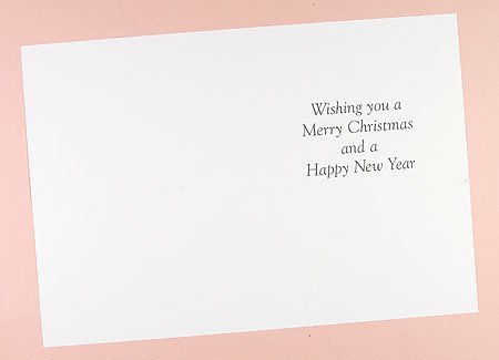 10 x Printed Christmas Inserts for Greetings Cards(139x191mm). for A5 Cards Folded