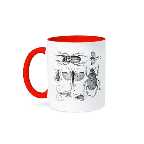 3dRose - Vintage drawing of bugs and beetles in black and white - Mug - (mug-264735-5)
