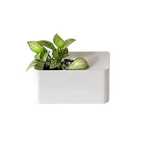 Moule en béton pour pot de fleurs NICOLE pour sublimer votre jardin