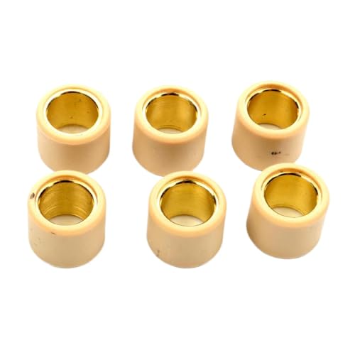 Poids à rouleaux de variateur 12,5g 20x17mm pour moteur Rotax et scooter 125cc