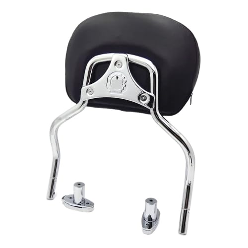 Dossier passager moto amovible pour Freewheeler FLRT 2015-2020