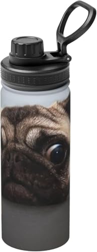 킢 pO   ^fM X|[c{g XeX d\ ۉ ۗ ԍڃJbv g ^ 530ml e jp ԍڗp 蕨