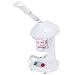 Personal Portable Table TOP Mini Facial HOT Steamer Salon Professional OZONE