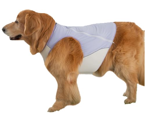 AttRex  ̕ t  ^Ngbv Ђ ڐG⊴  Ȃ hbOEGA xXg wJ ^  ʋC MǑ΍ Ăh U o ybgpi (8XL,p[v)