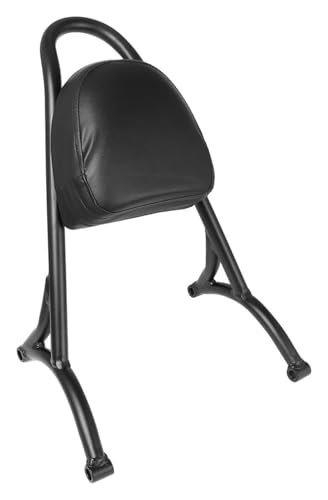 Porte-bagages arrière noir et sissy bar en acier pour Sportster Forty Eight 2004-2020