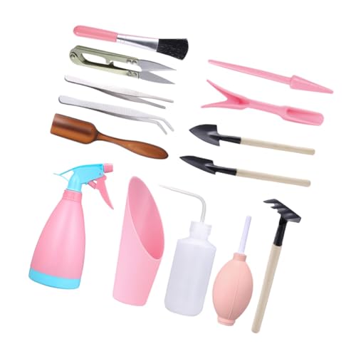 HIAKDOFT Set de Kit de Jardinage pour Plantes Grasses avec Mini Pelle Râteau Léger et Accessoires Ergonomiques pour Plantation Intérieure Couleur Aléatoire Couleur Aléatoire