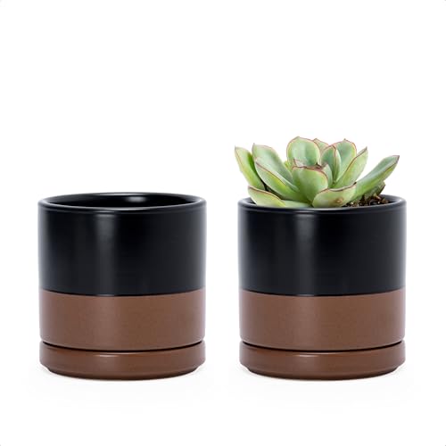 D'vine Dev 2-Pack Ceramic Pots with Saucers, Black/Tan, 3.5 in, 94-V-A-7