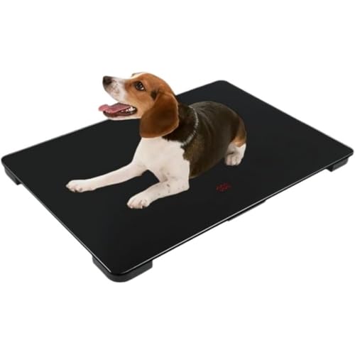 Kwueiit ybgVbvpAA^ȀdvApApAbpAlAő̏d100 kg (65*45CM)