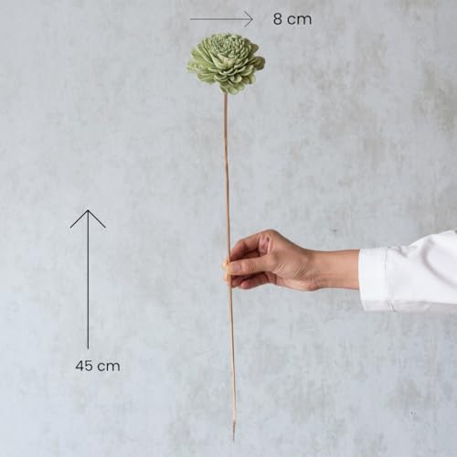 Image of Sola Belly Flower Garden Green 8 cm On Stem (10 Sticks) | Natural Dried Flower |Eco-Friendly Flowers for Home,Office,Bedroom,Table Decoration and Craft Items Corner