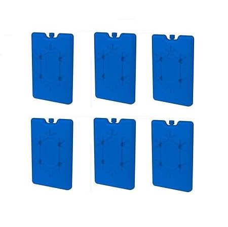 Reusable Slim & Long Lasting Freezer Ice Blocks Packs Space Saving Ice Blocks for Lunch Bags/Boxes, Cooler Bagpack, Camping, Beach, Picnics, Fishing and More Pack-(6)