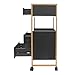 Salon Trolley with Wheels, 3 Drawers Salon Cart with Hair Dryer Holder Utility Salons Cabinet for Tools Storage at Barbershop Beauty Salons Tattoo Shop (Black)