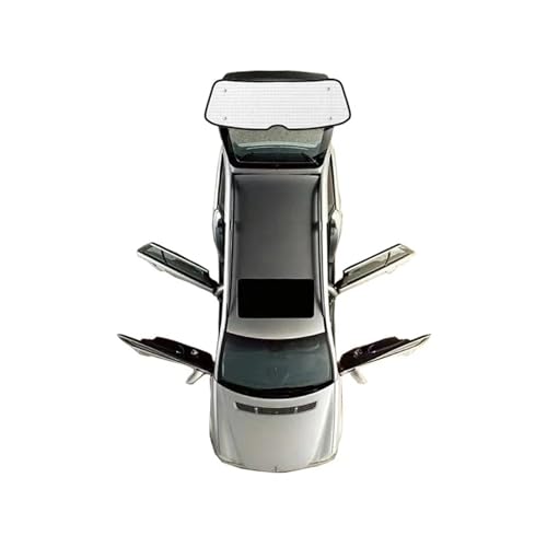 Pare-soleil arrière pour VW Passat B8 GT 2014-2021