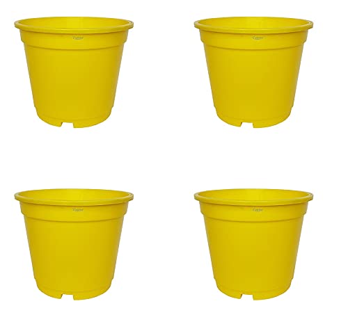 Image of Wonderland 8 inch Set of 3 Big Planter (Plastic Pots for Home Plants) (Yellow)