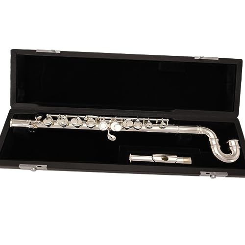 �t���[�g�y�� �q���p�t���[�g �J�[�u�}�E�X�s�[�X C�� �I�t�Z�b�g G�L�[ �t���[�g ���t�� �t���[�g�y�� (Color : 01)