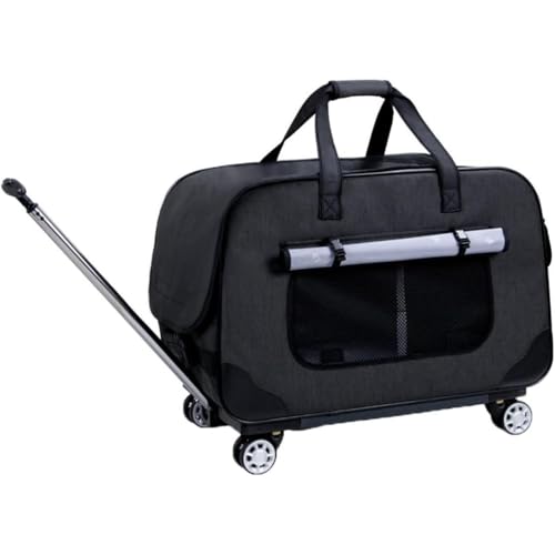 OGXN ybgL[ LX^[t L L[ 2C J[g ܂ݎ[ 18kg܂ŃT|[g Ŏgp\ Jo[ې É ʋC OʃbV ^ ^ L  s ʉ@ U h p (K)